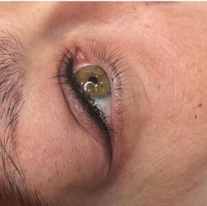 Micropigmentación ojos joanacero (8)